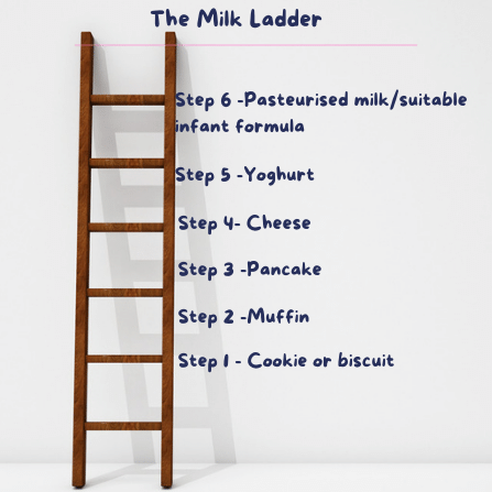 The dairy ladder (know as the milk ladder)